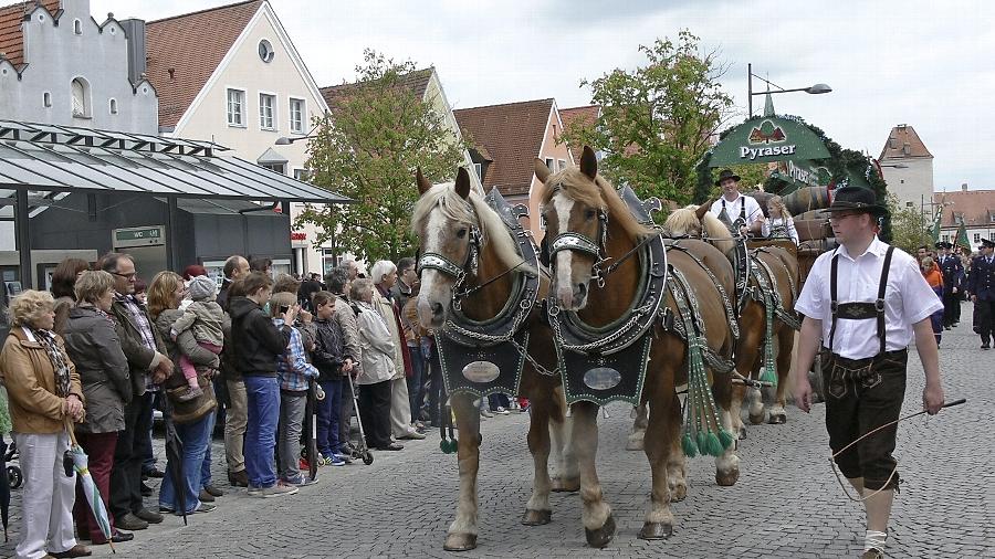 Ein Brauereigespann machte sich auf den Weg durch die Innenstadt von Freystadt. Der Regen hörte auf, als die Bürger den Volksfestumzug besuchten. Ein Brauereigespann machte sich auf den Weg durch die Innenstadt von Freystadt. Der Regen hörte auf, als die Bürger den Volksfestumzug besuchten.