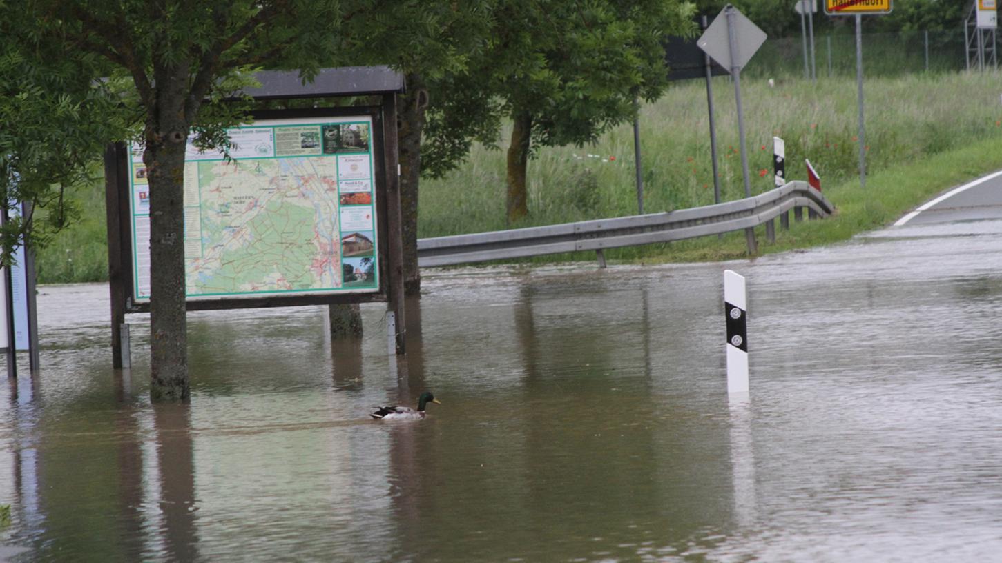 Hochwasser im Kreis Forchheim: Enten auf der Straße