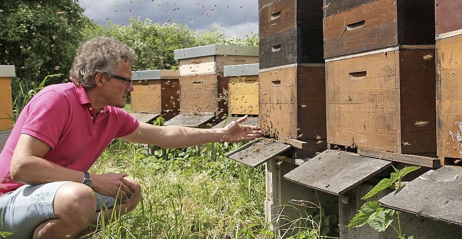Eckhard Göll hat ein Händchen für seine Bienen. Er hat seine rund 30 Völker gut über den Winter gebracht. Eckhard Göll hat ein Händchen für seine Bienen. Er hat seine rund 30 Völker gut über den Winter gebracht.