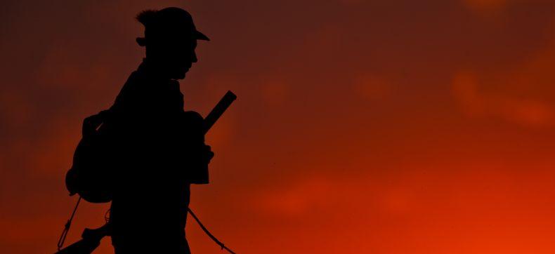 Nach einem tödlichen Schuss auf einen Hund wurde nun die Jagd im Gebiet bei Rehhof verboten. Nach einem tödlichen Schuss auf einen Hund wurde nun die Jagd im Gebiet bei Rehhof verboten.