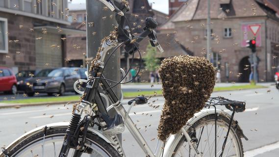 Am hellichten Tag: Bienenschwarm entert Fahrrad