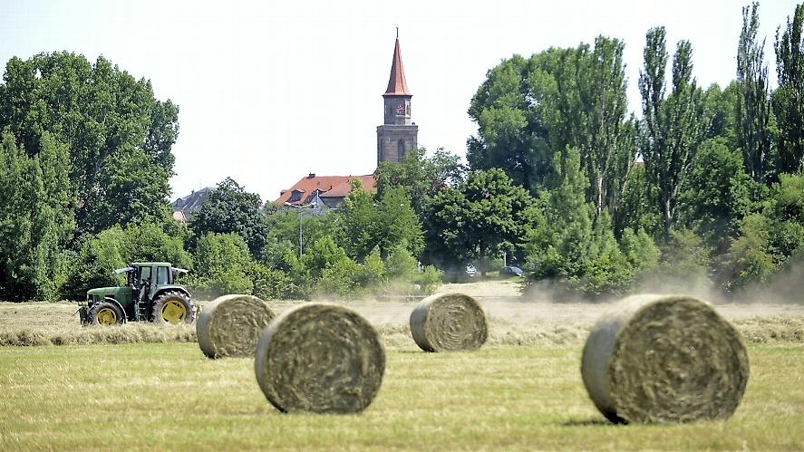 Heuernte im Wiesengrund: Die Nordspange, die hinter den Bäumen verläuft, ist das einzige Überbleibsel des berüchtigten Schaechterle-Plans. Heuernte im Wiesengrund: Die Nordspange, die hinter den Bäumen verläuft, ist das einzige Überbleibsel des berüchtigten Schaechterle-Plans.