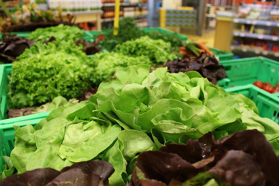 Sorgen bereiten Höfler indes manche Schädlinge, die früher eher in südlichen Gefilden beheimatet gewesen seien und die nun aufgrund des Klimawandels hierzulande heimisch werden. Heuer habe man zum Beispiel große Probleme mit dem Kohlerdfloh gehabt. "Der frisst Löcher in die Blätter, das kaufen die Leute natürlich nicht gerne", sagt Höfler. Auch die Kirschessigfliege, die sich anders als andere Schädlinge sogar am frischen Obst vergreife, sei ein Problem.