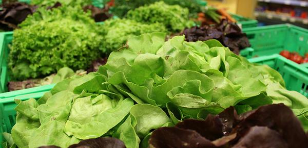 Sorgen bereiten Höfler indes manche Schädlinge, die früher eher in südlichen Gefilden beheimatet gewesen seien und die nun aufgrund des Klimawandels hierzulande heimisch werden. Heuer habe man zum Beispiel große Probleme mit dem Kohlerdfloh gehabt. "Der frisst Löcher in die Blätter, das kaufen die Leute natürlich nicht gerne", sagt Höfler. Auch die Kirschessigfliege, die sich anders als andere Schädlinge sogar am frischen Obst vergreife, sei ein Problem.