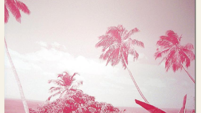 geb. 1968 in Hof/Saale
 lebt in München
 Pink Palm (2012)
 180 x 270 cm
 Jacquardgewebe auf Keilrahmen