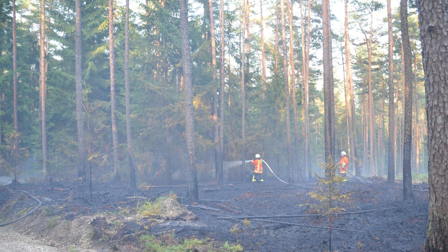 Um Waldbränden vorzubeugen, müssen Reisig und Kronenmaterial nicht verbrannt, sondern aus dem Wald abtransportiert werden, erklärt Forstminister Helmut Brunner.