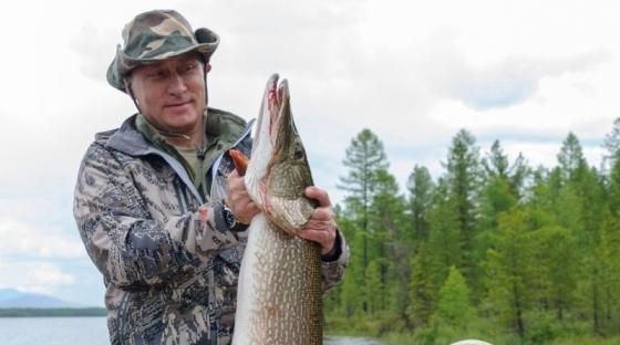 Putin umgibt sich gerne mit großen Fischen. Der Kremlchef angelt auch gerne mal einen 21-Kilo-Hecht.