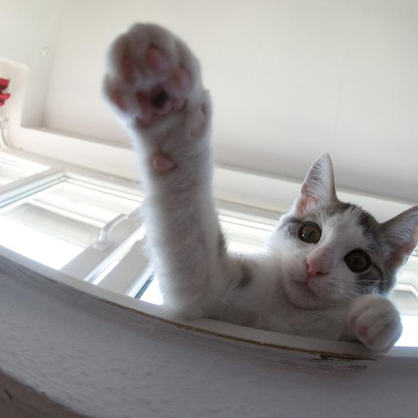 weitere interessante Themen: