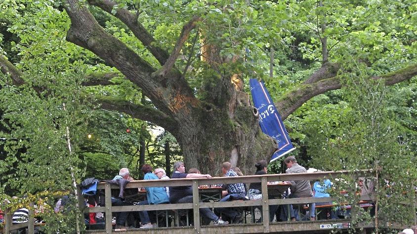 Sie strotzt förmlich vor Kraft: Die Spieser Tanzlinde. Das Bild zeigt das jährliche Lindenfest. Sie strotzt förmlich vor Kraft: Die Spieser Tanzlinde. Das Bild zeigt das jährliche Lindenfest.