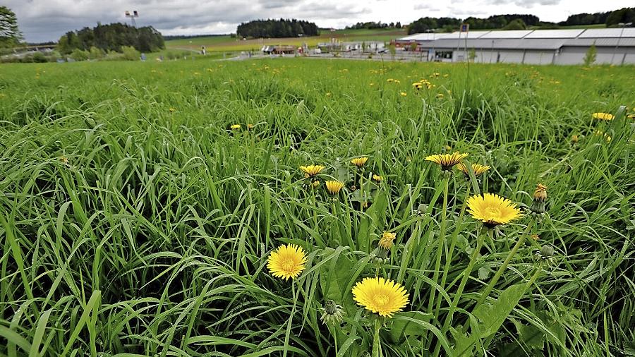 Kampf um Autohof im Gewerbegebiet Ottenhof Kampf um Autohof im Gewerbegebiet Ottenhof