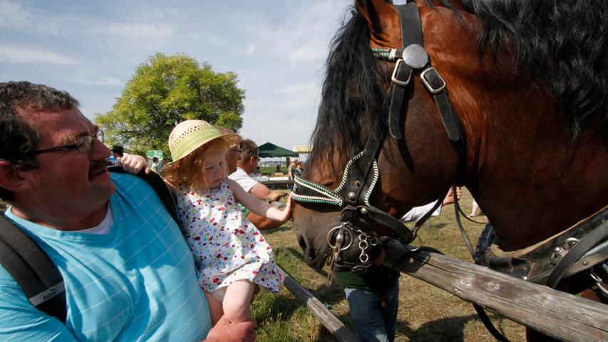 Die kleinen Besucher hatten reichlich Gelegenheit, mit den Pferden in Kontakt zu kommen. Manchmal auch mit Papas Beistand.