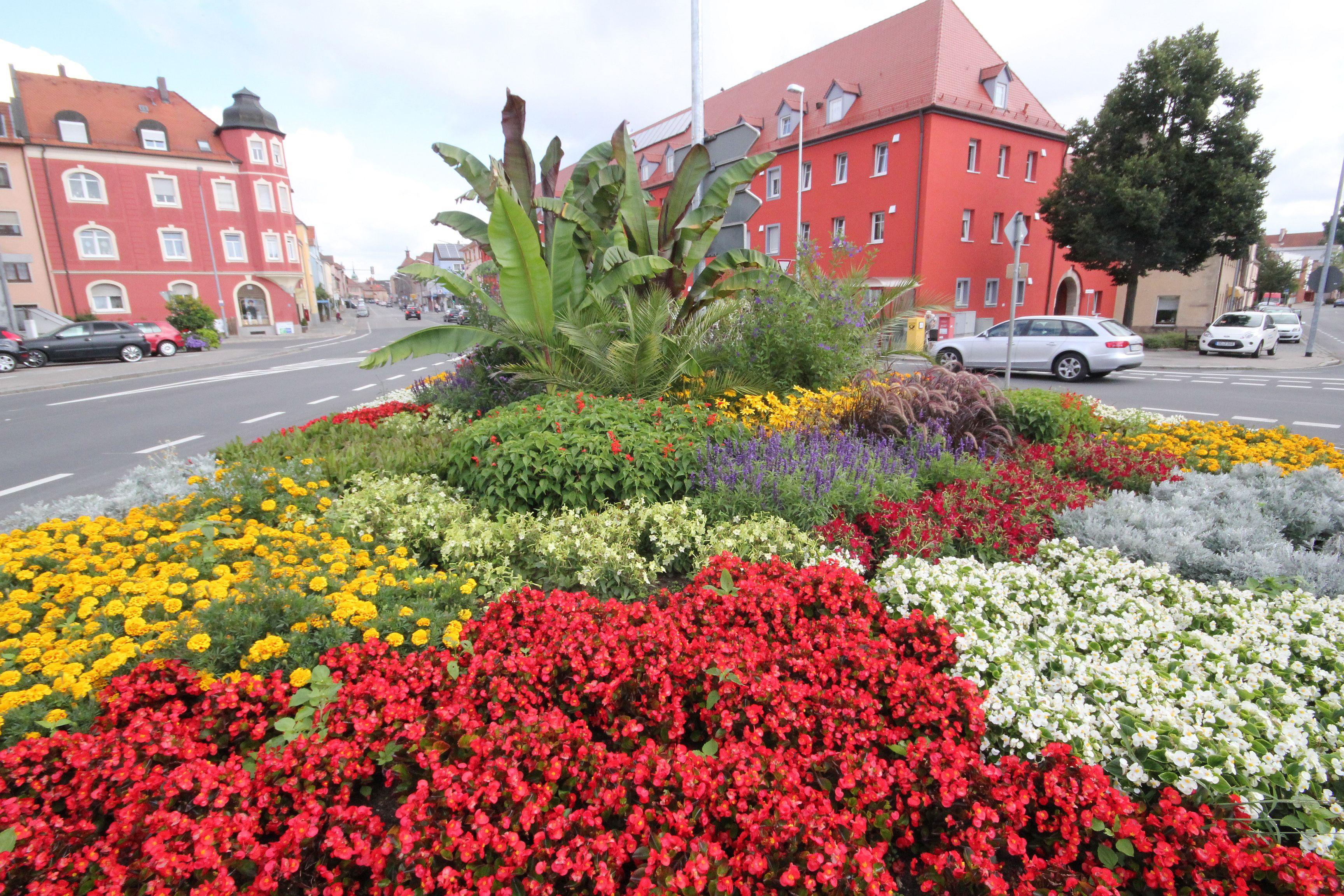 Blhende Landschaften mitten in Schwabach