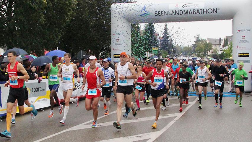 Mit rund 2400 Startern quer durch die Wettbewerbe vom Marathon bis zum Bambini-Rennen gab es beim Seenlandmarathon nicht nur eine neue Höchstmarke bei der Teilnehmerzahl.