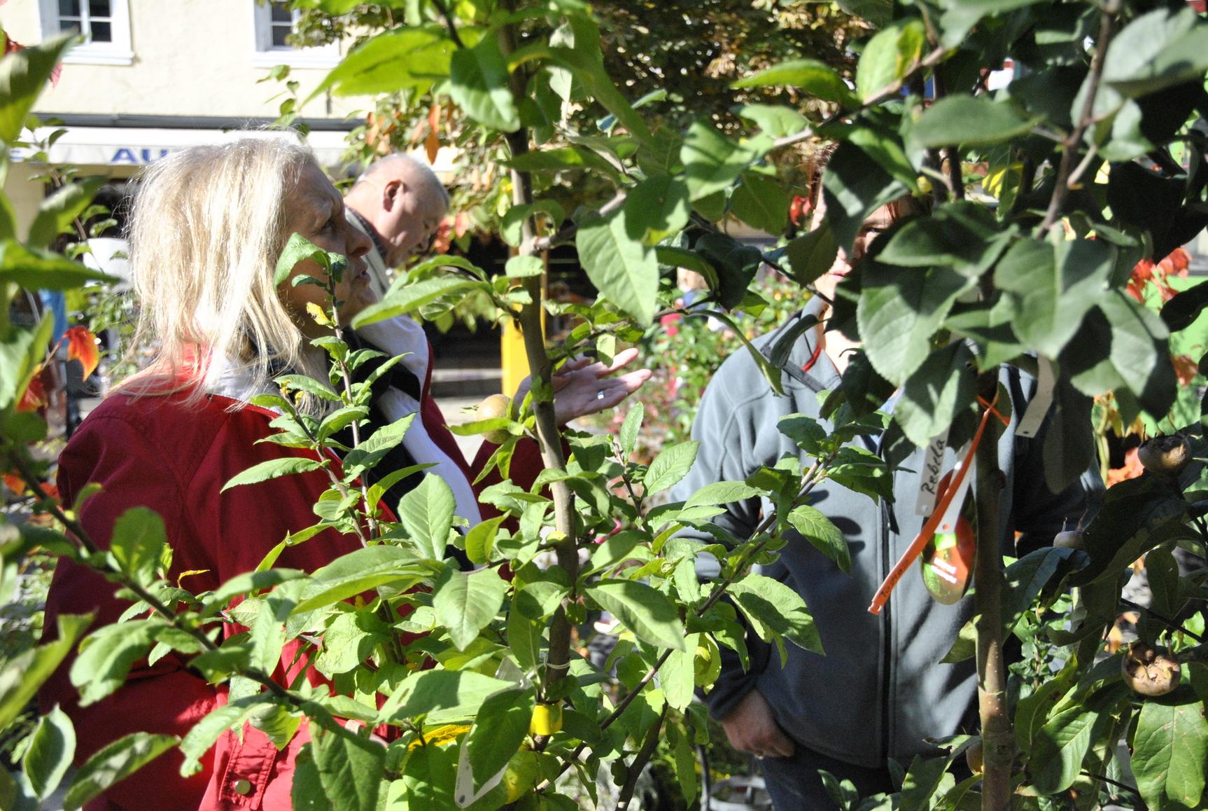 Kernige Infos rund um Gartenfrüchte: der Obsterlebnistag in ...