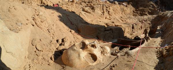 Skelett-Funde am Germanischen: Ausgrabungen laufen