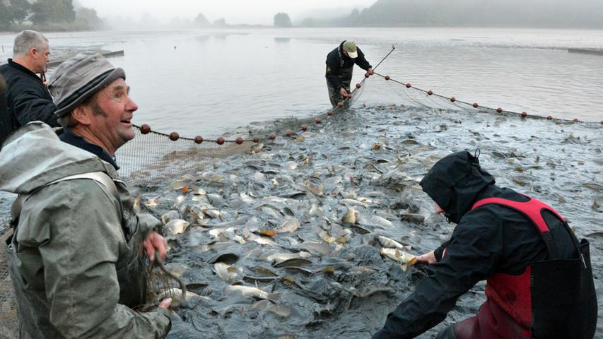 Die Männer und Frauen müssen dazu ins kalte Wasser gehen, um das Netz um die Fische enger zu ziehen.