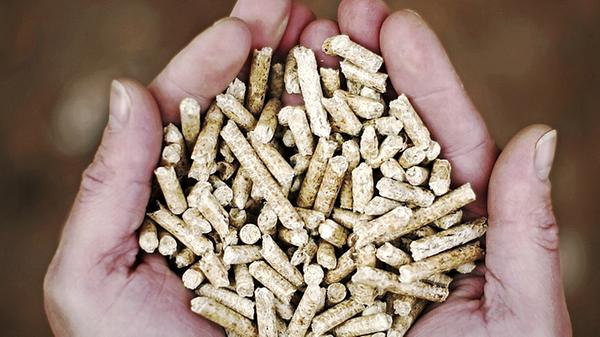 7,6 Millionen Tonnen CO2-Einsparung werden von der LWF eingerechnet für das Holz, das zur Energiegewinnung verfeuert wird. Dem Holz als nachwachsenden Rohstoff wird eine deutlich günstigere Bilanz zugeschrieben als fossilen Rohstoffen wie Kohle oder Erdöl.