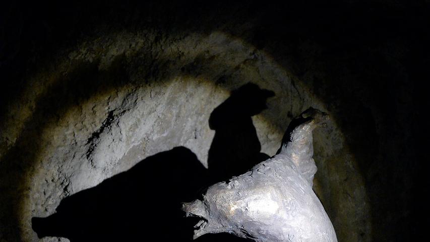 Eine versteckte Attraktion des Botanischen Gartens ist die Neischl-Höhle. Hier können Besucher wieder ab April die Tropfsteinhöhle mit der kleinen Bärenhöhle und ihrer effektvollen Beleuchtung bewundern.