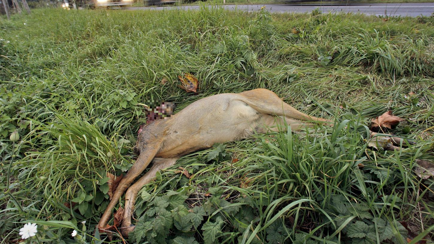 Ein verendetes Reh liegt nach einem Wildunfall im Gras am Straßenrand.