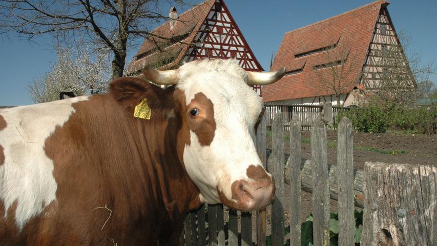 Das fränkische Freilandmuseum in Bad Windsheim begeistert mit viel Liebe zum Detail: Anhand von über 100 originalgetreu eingerichteten Häusern wird das Leben der ländlichen Bevölkerung in Franken gezeigt.