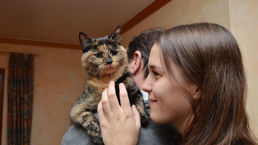 Leben ins Haus von Familie Treuheit bringt außerdem Katze Emmi.