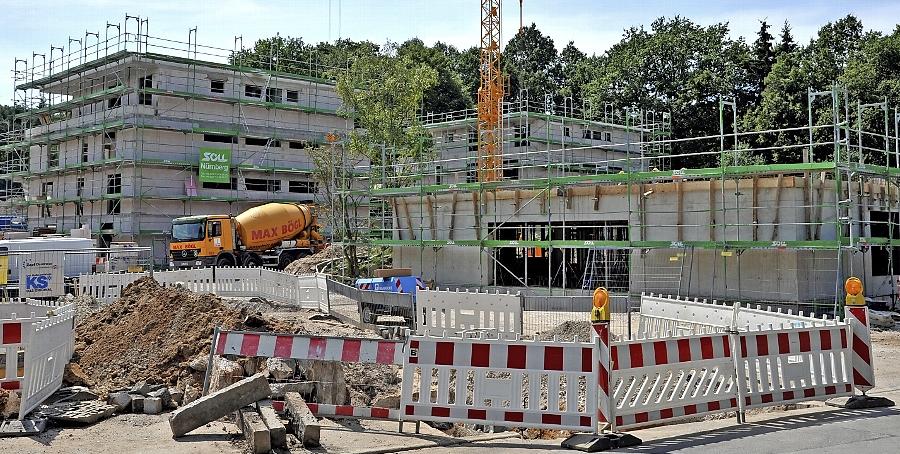 P&P hat in Fürth 75 geschützte Bäume gefällt