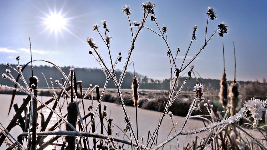 Frost, Tau und Schnee tauchen diesen Weiher in Röhrach (Kreis Erlangen-Höchstadt) in ein Winterparadies.