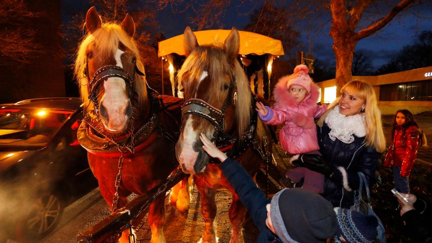 Die gutmütigen Pferde mit ihren weichen Nüstern faszinierten vor allem die kleinen Gäste und sorgten für strahlende Kinderaugen.