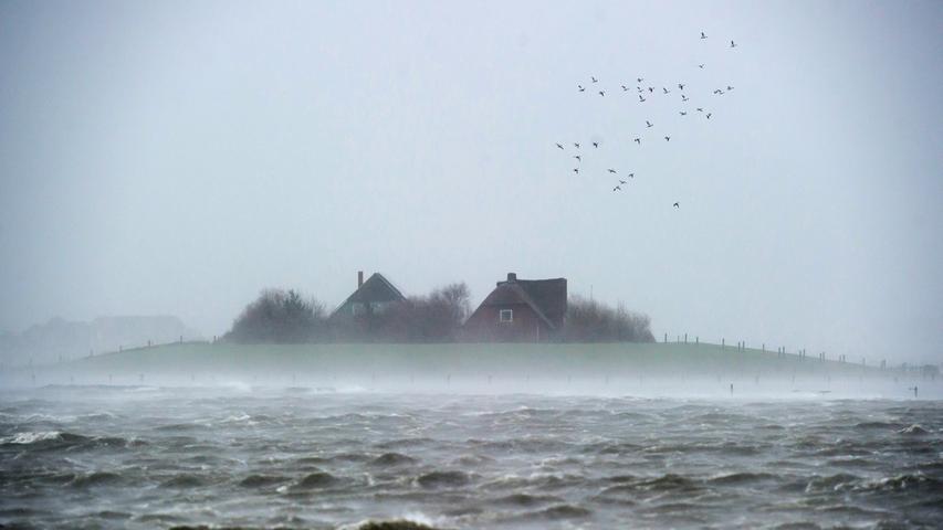 Häuser sind während "landunter" auf der nordfriesischen Hallig Langeneß in Schleswig-Holstein in der Nordsee zu sehen. Das Orkantief Xaver richtet schwere Schäden in Norddeutschland an.