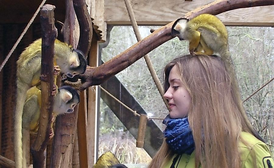 Einser-Schüler bis einschließlich 17 Jahre dürfen sich kostenlos im Nürnberger Tiergarten vergnügen.