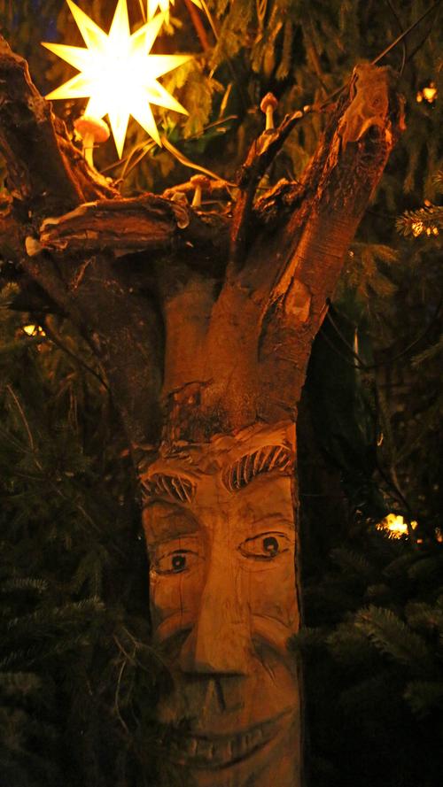 Mit viel Mühe und Kreativität sollen dieses Jahr wieder mehr Besucher auf die Waldweihnacht gelockt werden. Eine Menge Holz und echte Bäume sorgen für eine gelungene Stimmung.
