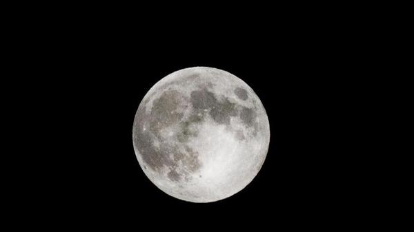 Es ist ganz einfach: Die Landung auf dem Mond hat nie stattgefunden und war reine Propaganda zur Einschüchterung der Sowjetunion, mit der sich die USA damals im kalten Krieg befanden. Außerdem war eine Ablenkung vom unpopulären Krieg in Vietnam nötig. "Beweise" für diese Theorie gibt es unter ihren Anhängern viele - angefangen bei auf dem Mond geschossenen Fotos, auf denen keine Sterne zu sehen sind, über unterschiedliche Schattenwürfe, bis hin zur trotz eines Vakuums "wehenden" Flagge auf der Mondoberfläche. Zwar wurden all diese "Beweise" mittlerweile wissenschaftlich entkräftet, doch die Anhänger dieser Theorie ficht das nicht an. Ebenso wie die Tatsache, dass NASA und US-Regierung sämtliche am Apollo-Programm beteiligten Menschen (insgesamt rund 400.000) dauerhaft zum Schweigen hätten bringen müssen.