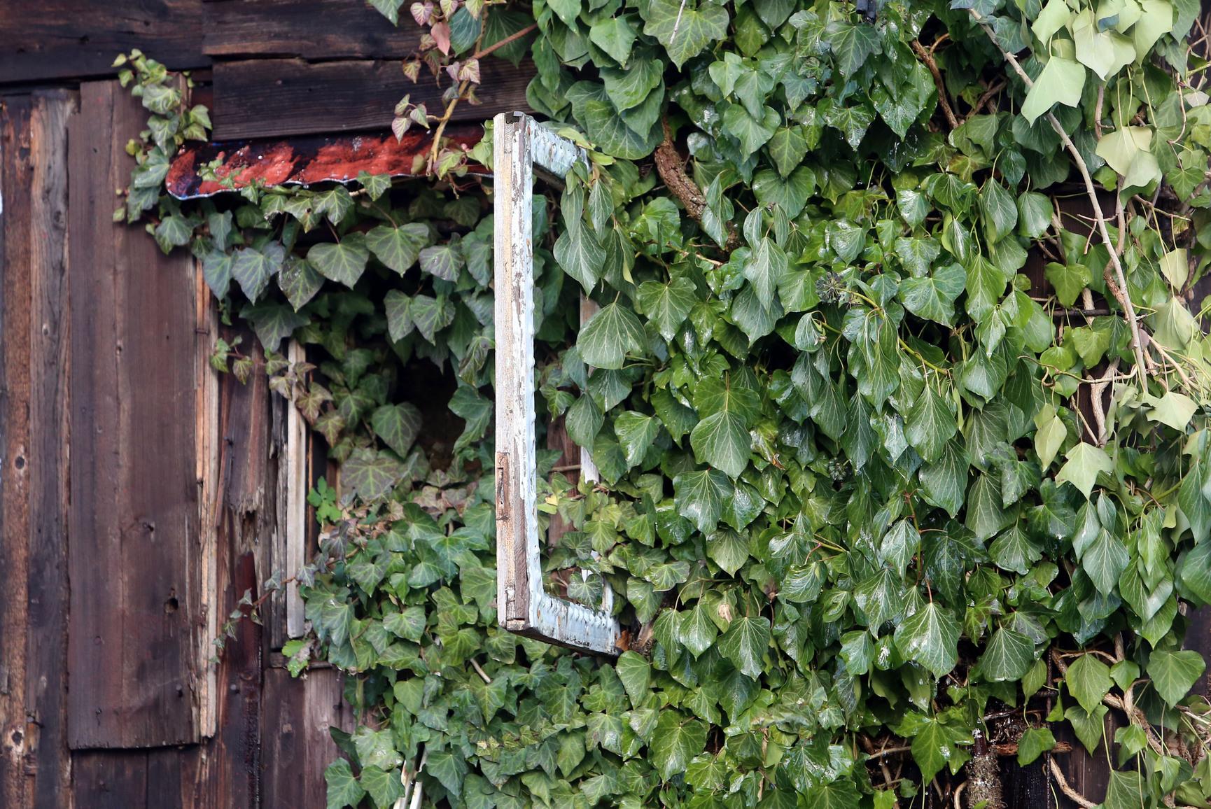 ...und der überwucherten Fassade jahrzehntelang für Aufsehen.