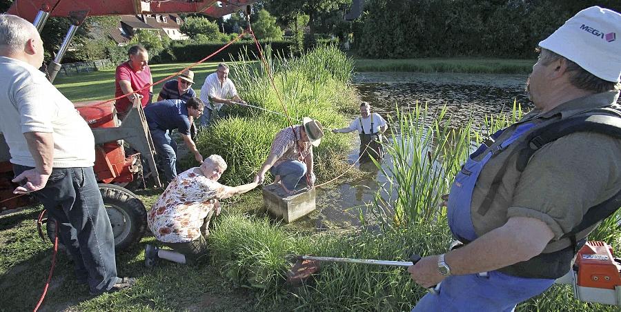 Dietersdorf ist Sieger des Verschönerungs-Wettbewerbs Dietersdorf ist Sieger des Verschönerungs-Wettbewerbs