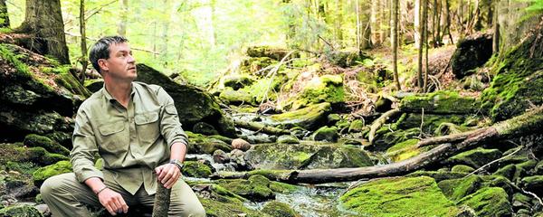 Apropos Naturbursche: Die Inszenierungen Söders kommen teilweise denen von Russlands Präsidenten Wladimir Putin nahe. Wie hier bei diesem "imposanten" Foto im Bayrischen Wald. Der Blick verrät: Er hat seine Zukunft fest im Blick und gibt nichts aus der Hand.