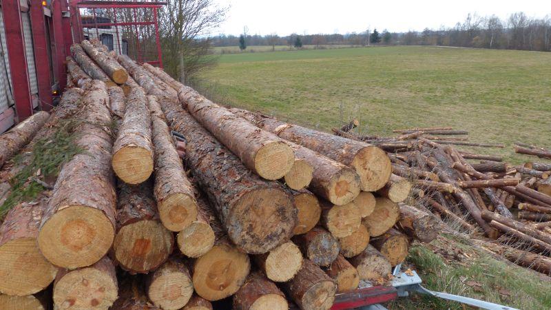 Lkw bei Gunzenhausen umgekippt - Dutzende Baumstämme verloren