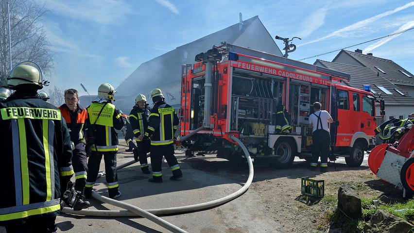 Feuer am Rütteldorfer Reiterhof: Bauwagen futsch, Pferde unverletzt