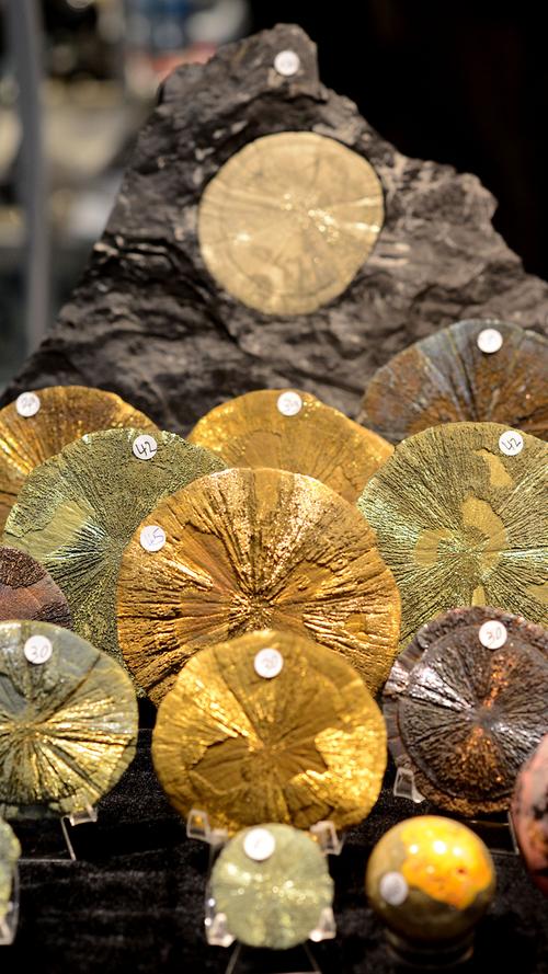 Bunte Steine: Zu Besuch bei den Fürther Mineralientagen 2014