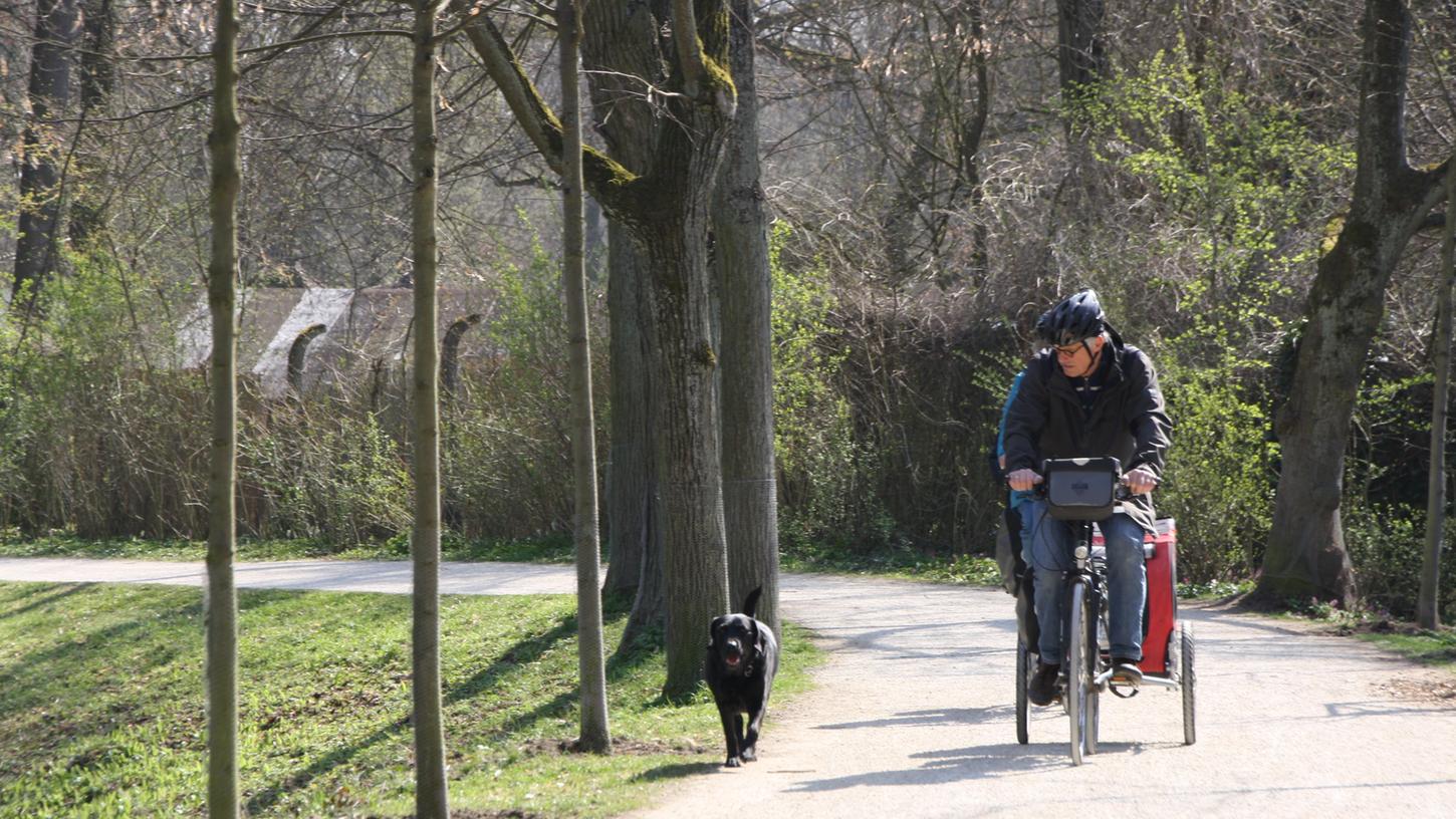 Auf den Radwegen an der Regnitz ist es für Radfahrer ungefährlich. Anders sieht es auf Bambergs Straßen aus.