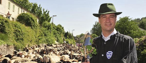 Das Umweltministerium (2008-2011) eröffnet dann zwischenzeitlich einen ganz neuen Akt in Söders Bühnenleben. So inszenierte er sich als Lammtreiber im Altmühltal mit passendem Hut und Wanderstab.