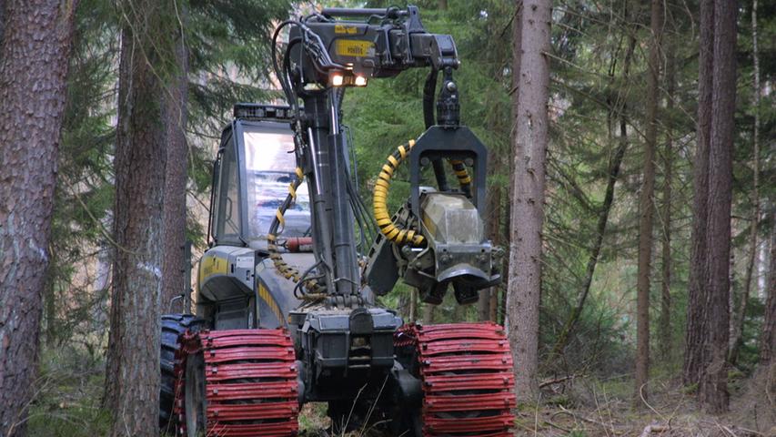 Große Maschinen am Fischleinsberg: Holzernte wegen Borkenkäferbefall