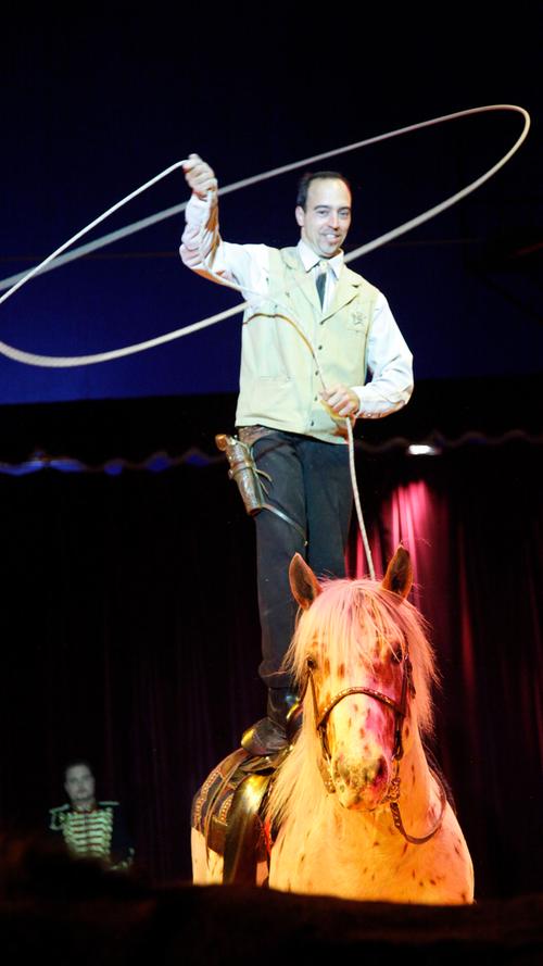 Kevin Probst lässt die Pferde tanzen.