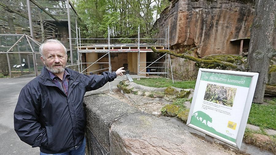 "Es spricht natürlich überhaupt nichts dagegen, die Haltungsbedingungen in Zoos zum Wohl der Tiere zu ändern", macht der stellvertretende Tiergartendirektor Helmut Mägdefrau klar. (Archivbild)