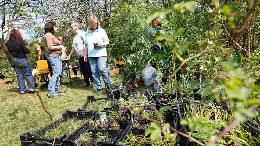 Pflanzentauschbörse: Gartenfreunde handeln in Fürth