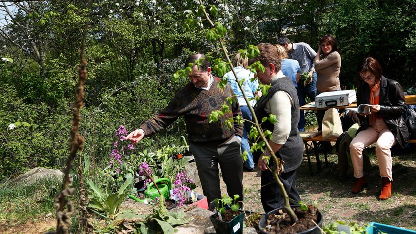 Pflanzentauschbörse: Gartenfreunde handeln in Fürth