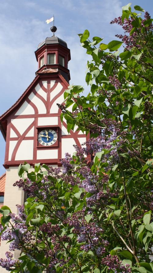 Auch dieses Jahr lud der Wolfgangshof in Anwanden bei Zirndorf wieder zum Frühjahrsmarkt. Vor historischer Kulisse schlugen die Händler am Wochenende ihre Stände auf.
