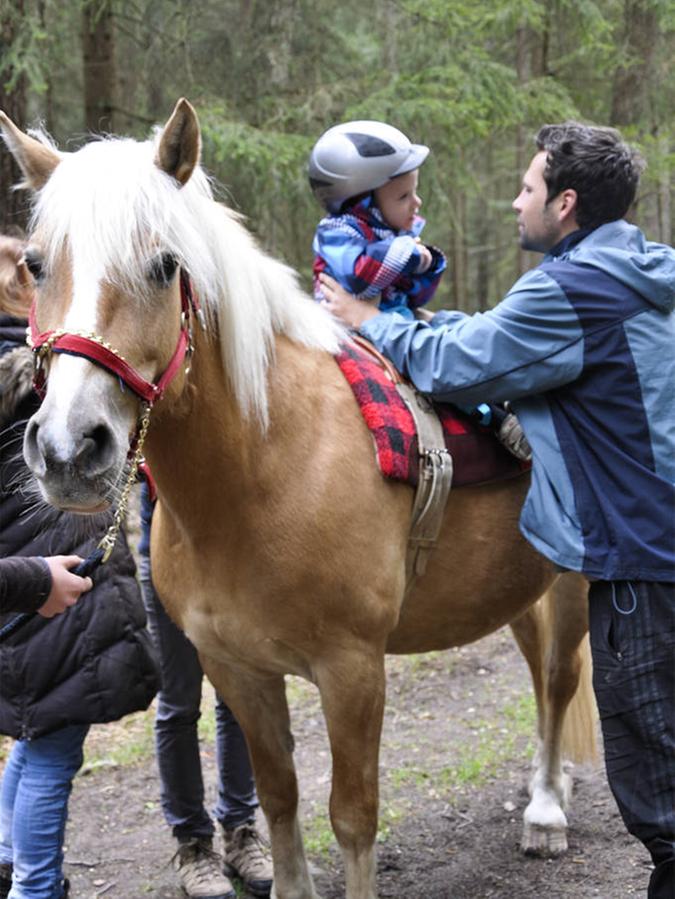 Reittherapie in Fischbach: Pferde helfen bei Entwicklung
