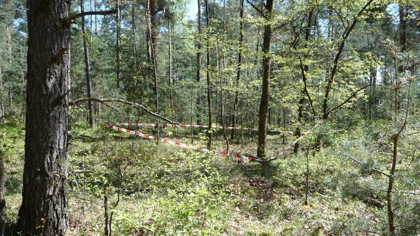 An der Einsatzstelle im Forst Kleinschwarzenlohe nahe dem Autobahnkreuz Nürnberg Süd angekommen, riegelten die Beamten das Gebiet um die Bombe mit Absperrbändern großräumig ab.
