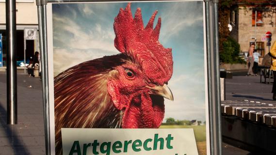 Vögel und Panzer: Die Wahlplakate zur Europawahl