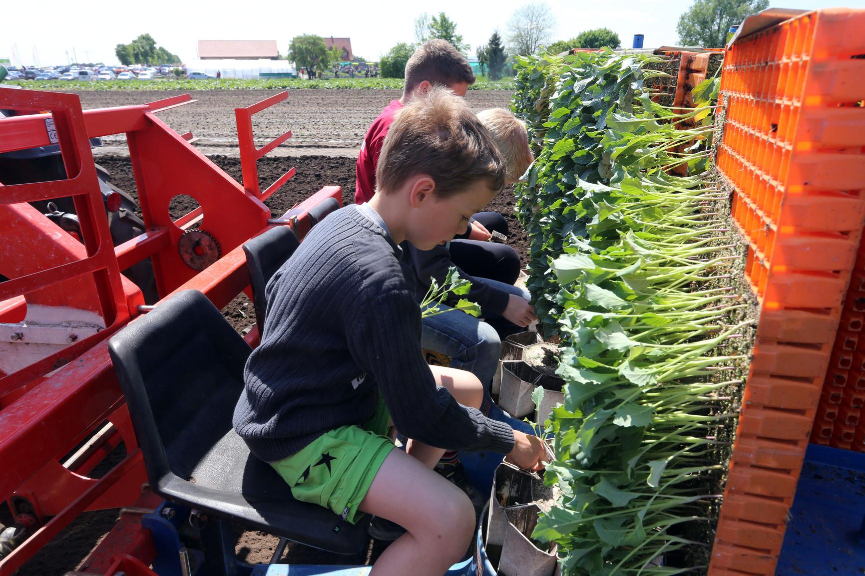 Im Gemüsegarten Eden Tag der offenen Tür im Knoblauchsland Fürth